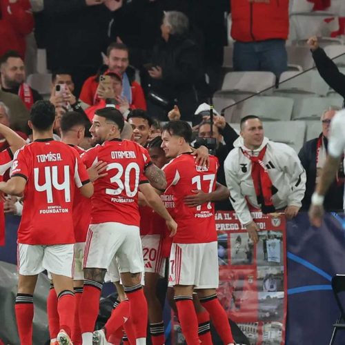 Benfica-Napoli 2-0 per colpa (sta volta) di Vanja Milinković-Savić